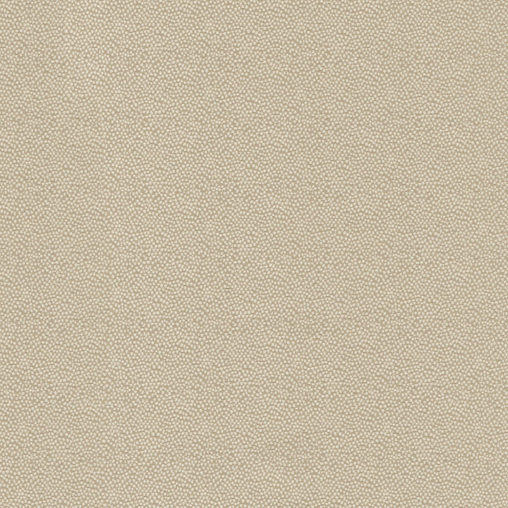 Vela Cameo 470795 by PKL Studio Fabric - 45% polyester, 55% cotton India 51000 Horizontal: 2.38 and Vertical: 1.75 56 - Fabric Carolina -