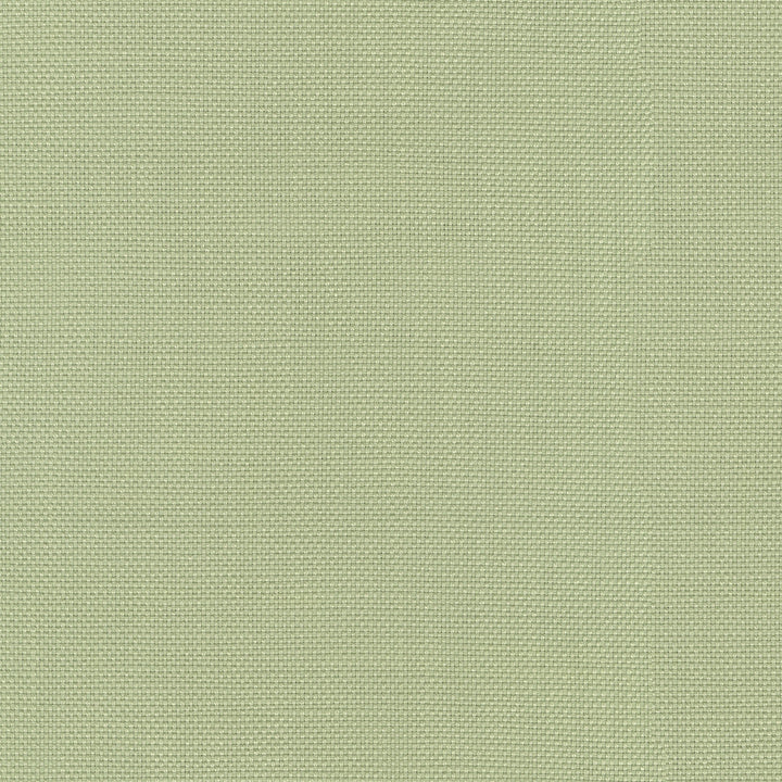 Centro Sage 470854 by PKL Studio Fabric - 100% cotton Pakistan 51000 Horizontal: N/A and Vertical: N/A 54 - Fabric Carolina -