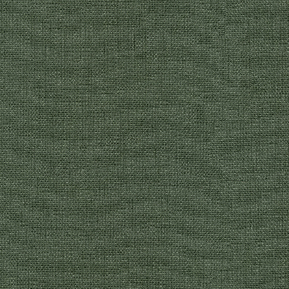 Centro Forest 470855 by PKL Studio Fabric - 100% cotton Pakistan 51000 Horizontal: N/A and Vertical: N/A 54 - Fabric Carolina -