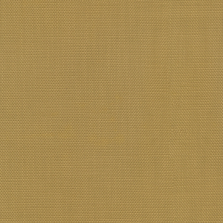 Centro Gold 470856 by PKL Studio Fabric - 100% cotton Pakistan 51000 Horizontal: N/A and Vertical: N/A 54 - Fabric Carolina -