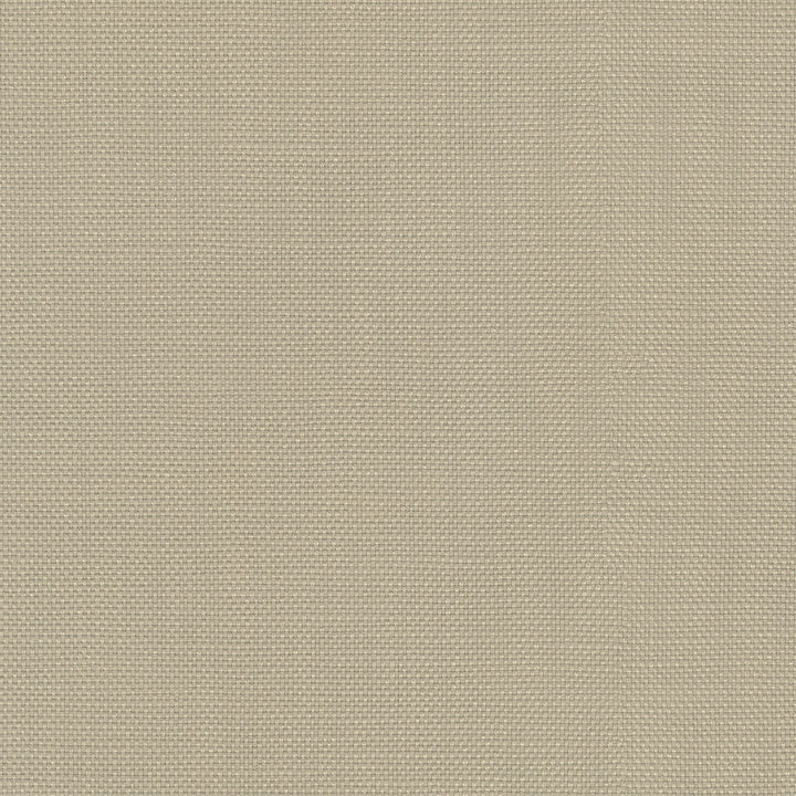 Centro Flaxen 470862 by PKL Studio Fabric - 100% cotton Pakistan 51000 Horizontal: N/A and Vertical: N/A 54 - Fabric Carolina -