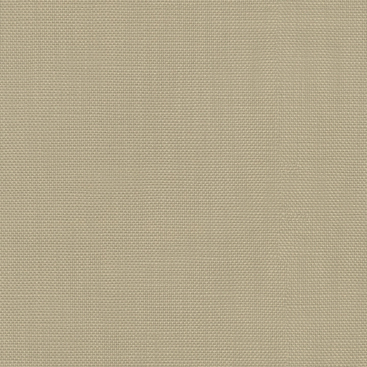 Centro Linen 470863 by PKL Studio Fabric - 100% cotton Pakistan 51000 Horizontal: N/A and Vertical: N/A 54 - Fabric Carolina -