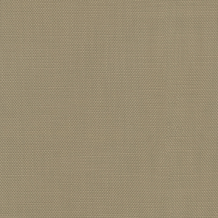 Centro Mushroom 470864 by PKL Studio Fabric - 100% cotton Pakistan 51000 Horizontal: N/A and Vertical: N/A 54 - Fabric Carolina -