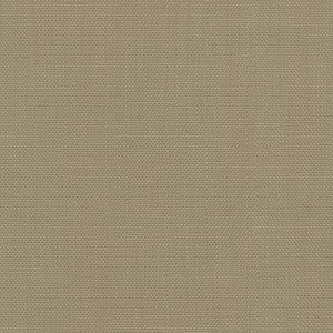 Centro Mushroom 470864 By PKL Studio Fabric
