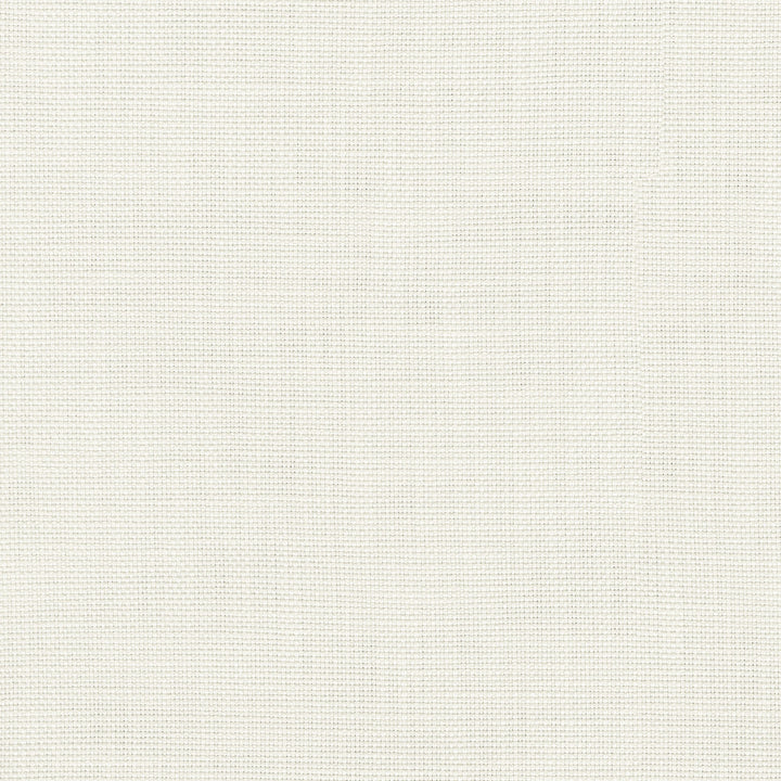 Centro White 470869 by PKL Studio Fabric - 100% cotton Pakistan 51000 Horizontal: N/A and Vertical: N/A 54 - Fabric Carolina -