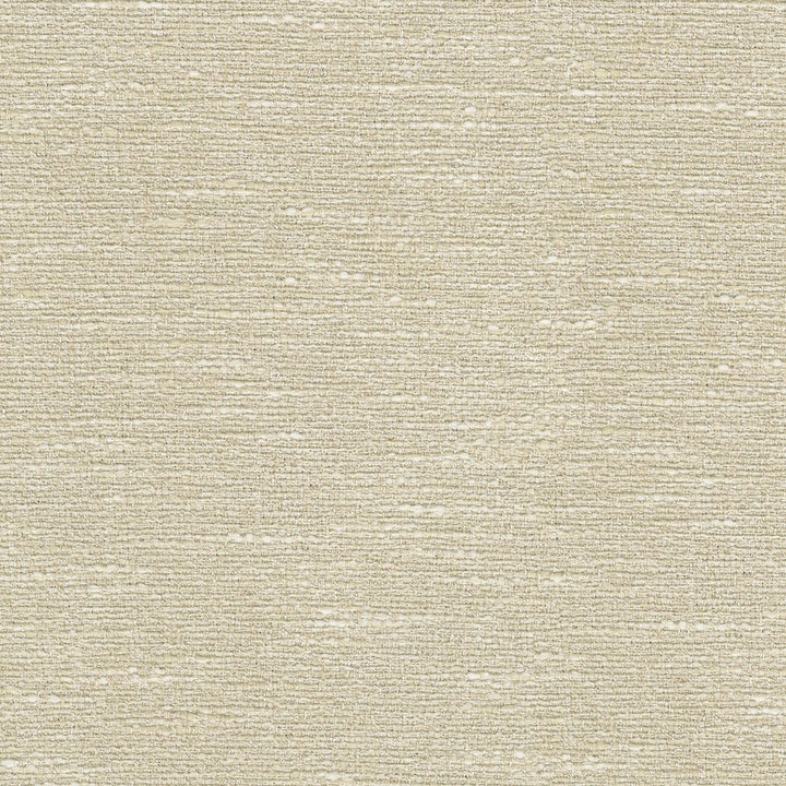 Windham Birch 470931 by PKL Studio Fabric - 82% polyester, 13% cotton, 5% linen Backing 100% acrylic Pakistan 15000 Horizontal: N/A and Vertical: N/A 54 - Fabric Carolina -