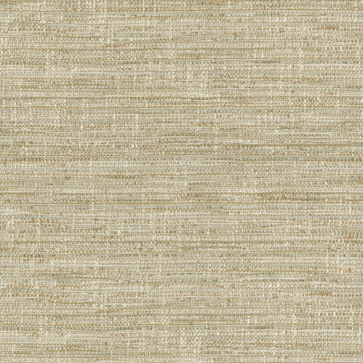 Daydream Dune 471073 by P/K LIFESTYLES Fabric - 78% polyester, 21% cotton, 1% linen India 51000 Horizontal: 13.38 and Vertical: 7 54 - Fabric Carolina -