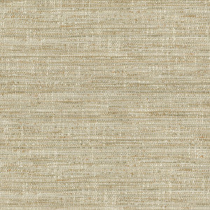 Daydream Dune 471073 By P/K Lifestyles Fabric