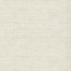 Daydream Winter 471074 By P/K Lifestyles Fabric