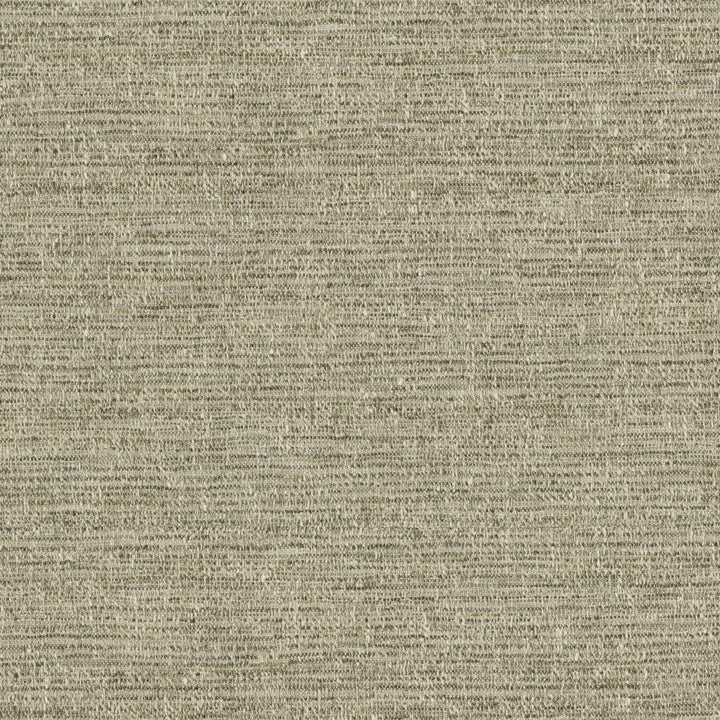 Garrett Mushroom 471085 by P/K LIFESTYLES Designer Fabric - 90% polyester, 10% cotton India 51000 Horizontal: 0 and Vertical: 0 54  - Swanky Fabrics -