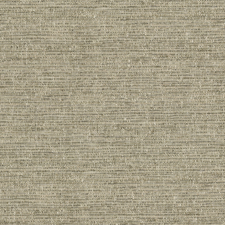 Garrett Mushroom 471085 by P/K LIFESTYLES Fabric - 90% polyester, 10% cotton India 51000 Horizontal: 0 and Vertical: 0 54 - Fabric Carolina -