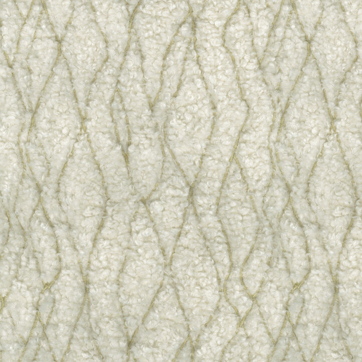 Fez Fur Emb. Linen 471192 by P/K LIFESTYLES Fabric - 100% polyester/ Back 100% acrylic TC Bonding China 51000 Horizontal: 9 and Vertical: 10.75 58 - Fabric Carolina -