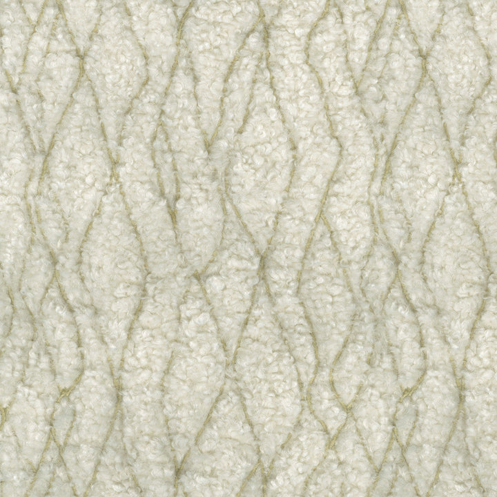 Fez Fur Emb. Linen 471192 by P/K LIFESTYLES Designer Fabric - 100% polyester/ Back 100% acrylic TC Bonding China 51000 Horizontal: 9 and Vertical: 10.75 58  - Swanky Fabrics -
