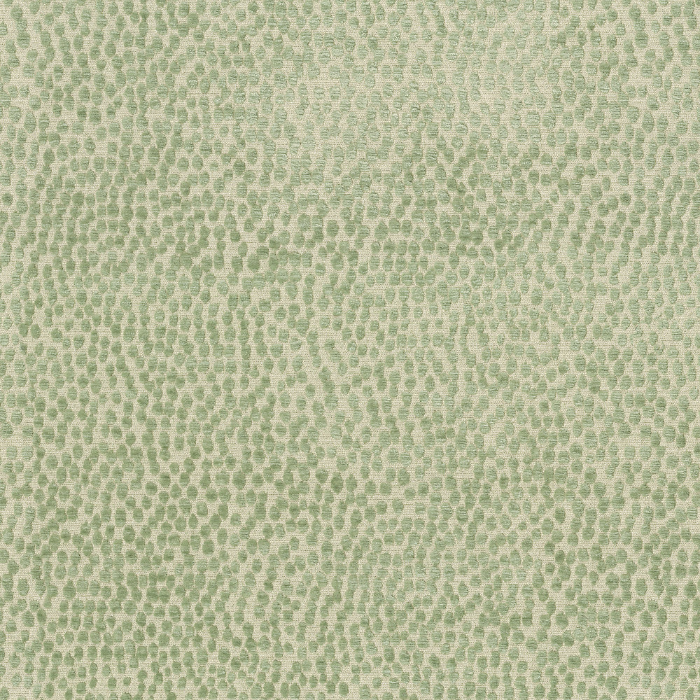 Spotty Dotty Meadow 471240 by P/K LIFESTYLES Fabric - 100% polyester China 51000 Horizontal: 14.5 and Vertical: 16.25 56 - Fabric Carolina -