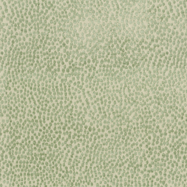 Spotty Dotty Meadow 471240 by P/K LIFESTYLES Fabric - 100% polyester China 51000 Horizontal: 14.5 and Vertical: 16.25 56 - Fabric Carolina -