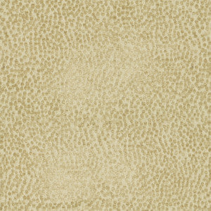 Spotty Dotty Hay 471247 By P/K Lifestyles Fabric