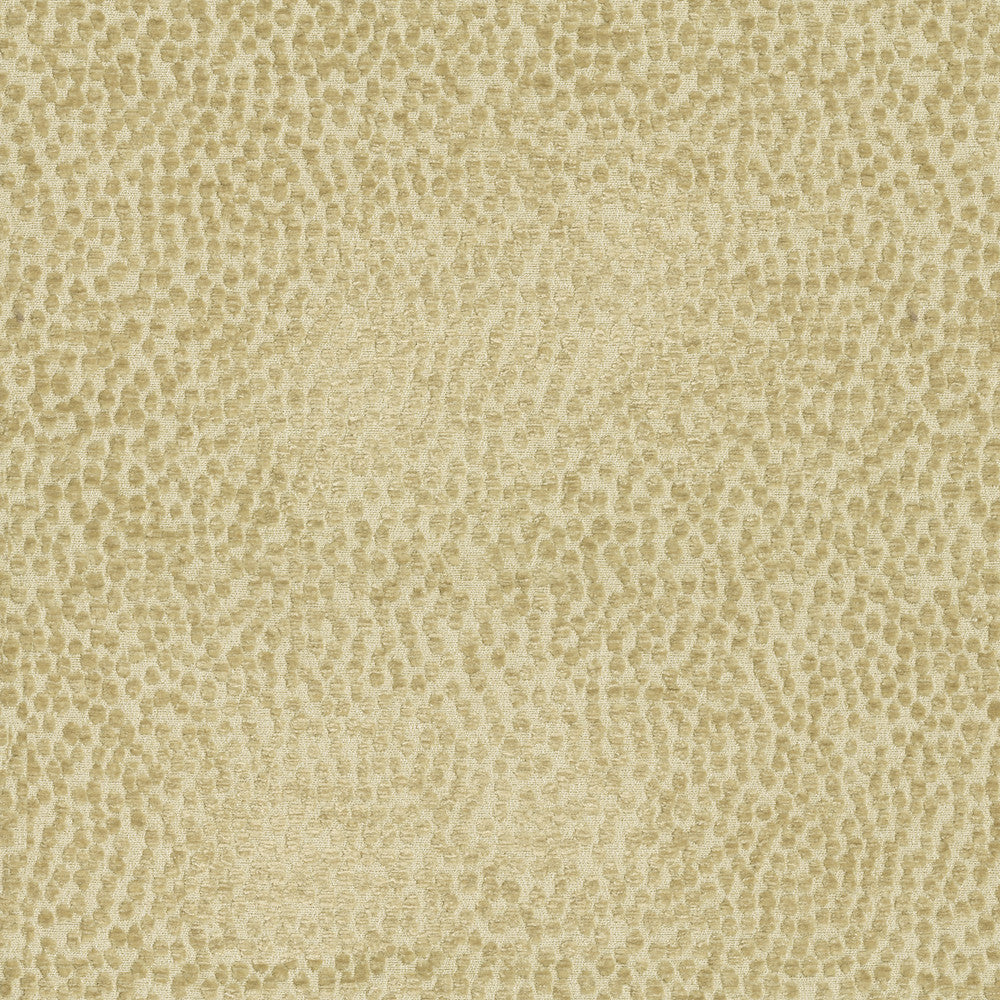 Spotty Dotty Hay 471247 by P/K LIFESTYLES Fabric - 100% polyester China 51000 Horizontal: 14.5 and Vertical: 16.25 54 - Fabric Carolina -