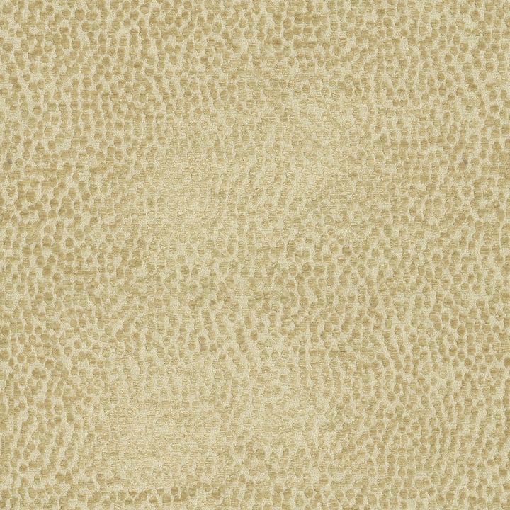 Spotty Dotty Hay 471247 by P/K LIFESTYLES Fabric - 100% polyester China 51000 Horizontal: 14.5 and Vertical: 16.25 54 - Fabric Carolina -