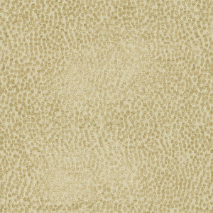 Spotty Dotty Hay 471247 By P/K Lifestyles Fabric