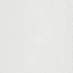 Spotty Dotty White 471249 By P/K Lifestyles Fabric