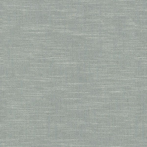 Winston Mist 471371 By P/K Lifestyles Fabric