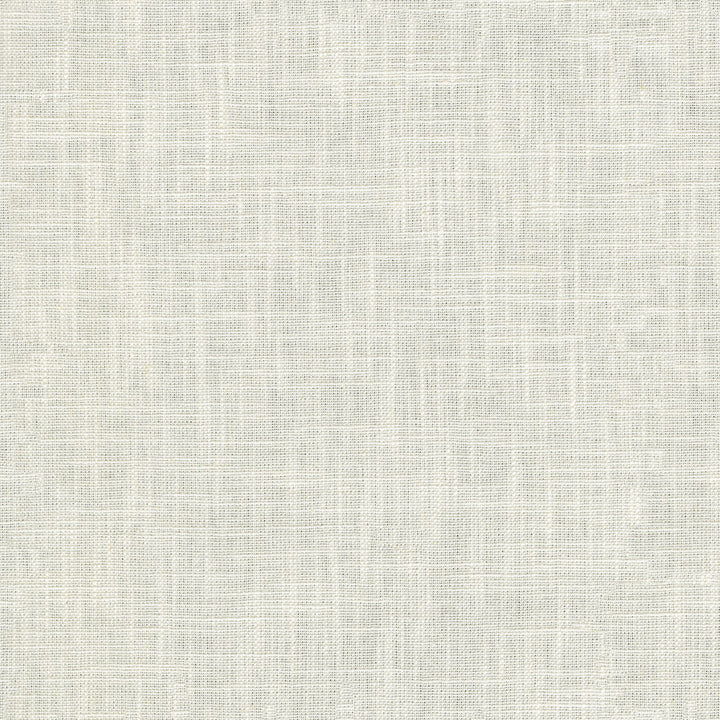 Winston White 471376 by P/K LIFESTYLES Fabric - 70% cotton, 30% linen India 51000 Horizontal: 0 and Vertical: 0 56 - Fabric Carolina -