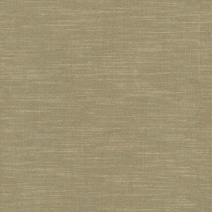 Winston Linen 471378 by P/K LIFESTYLES Fabric - 70% cotton, 30% linen India 51000 Horizontal: 0 and Vertical: 0 56 - Fabric Carolina -