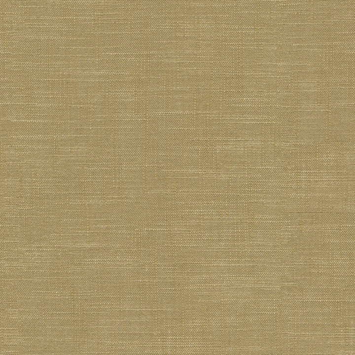 Winston Wheat 471379 by P/K LIFESTYLES Designer Fabric - 70% cotton, 30% linen India 51000 Horizontal: 0 and Vertical: 0 56  - Swanky Fabrics -
