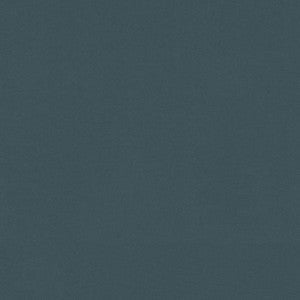 Raya Atlantic 471400 By P/K Lifestyles Fabric