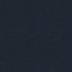 Raya Navy 471401 By P/K Lifestyles Fabric