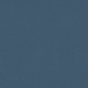 Raya Baltic 471402 By P/K Lifestyles Fabric