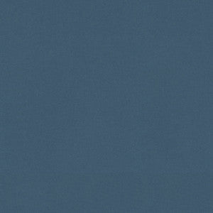 Raya Baltic 471402 By P/K Lifestyles Fabric