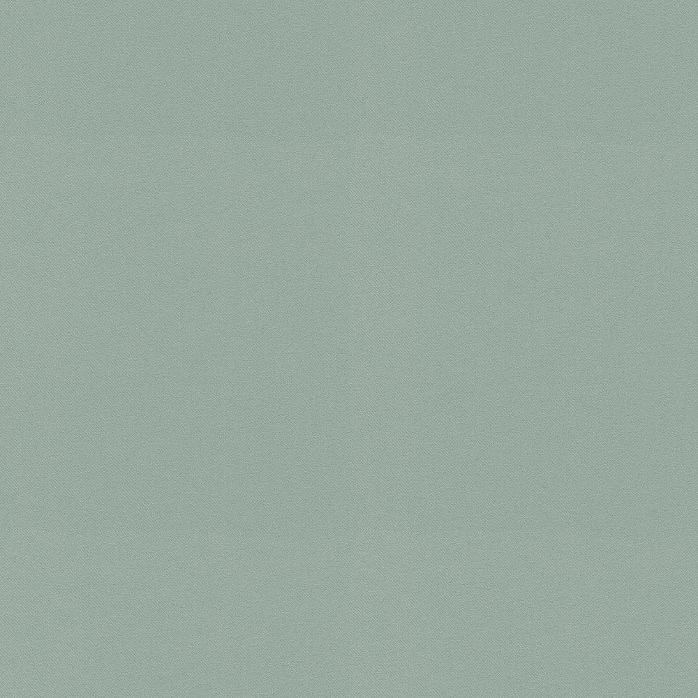Raya Atmosphere 471405 by P/K LIFESTYLES Fabric - 100% recycled polyester India 51000 Horizontal: 0 and Vertical: 0 56 - Fabric Carolina -