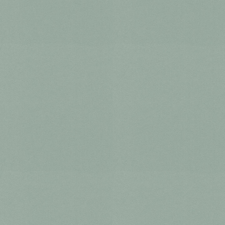 Raya Atmosphere 471405 by P/K LIFESTYLES Fabric - 100% recycled polyester India 51000 Horizontal: 0 and Vertical: 0 56 - Fabric Carolina -