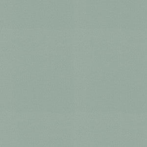 Raya Atmosphere 471405 By P/K Lifestyles Fabric