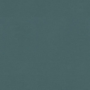 Raya Lagoon 471406 By P/K Lifestyles Fabric
