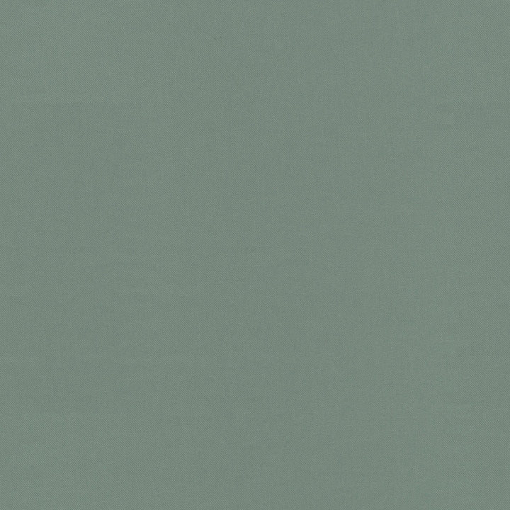 Raya Spa 471407 by P/K LIFESTYLES Fabric - 100% recycled polyester India 51000 Horizontal: 0 and Vertical: 0 56 - Fabric Carolina -