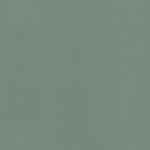 Raya Spa 471407 By P/K Lifestyles Fabric