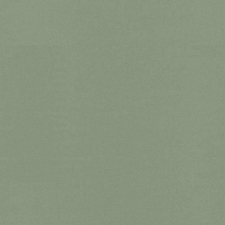 Raya Srping 471408 by P/K LIFESTYLES Designer Fabric - 100% recycled polyester India 51000 Horizontal: 0 and Vertical: 0 56  - Swanky Fabrics -