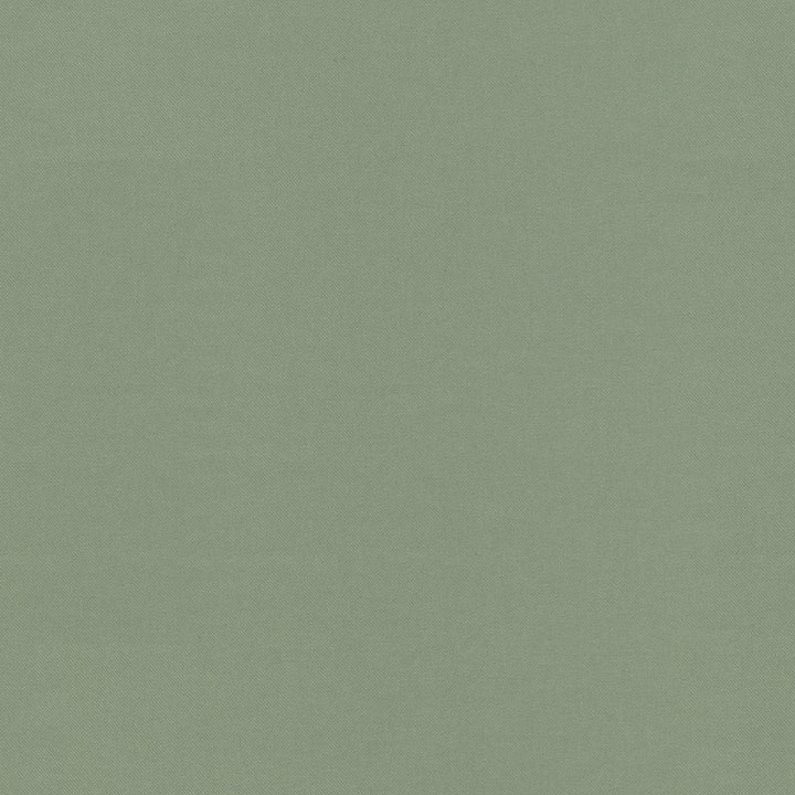 Raya Srping 471408 by P/K LIFESTYLES Fabric - 100% recycled polyester India 51000 Horizontal: 0 and Vertical: 0 56 - Fabric Carolina -