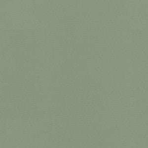 Raya Srping 471408 By P/K Lifestyles Fabric