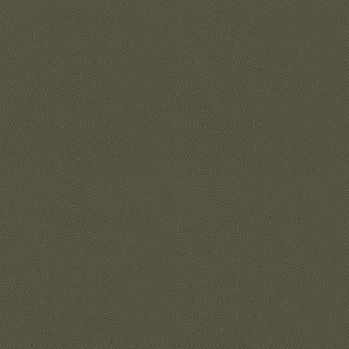 Raya Leaf 471409 by P/K LIFESTYLES Fabric - 100% recycled polyester India 51000 Horizontal: 0 and Vertical: 0 56 - Fabric Carolina -