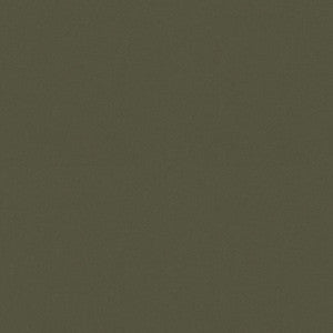 Raya Leaf 471409 By P/K Lifestyles Fabric