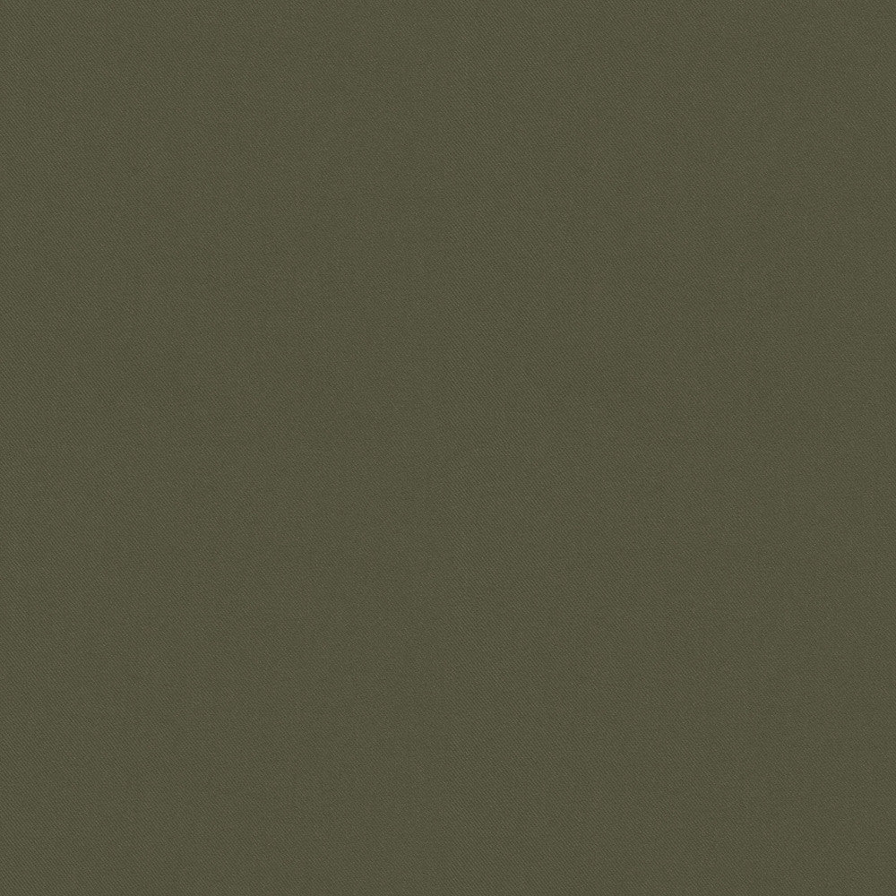 Raya Leaf 471409 by P/K LIFESTYLES Designer Fabric - 100% recycled polyester India 51000 Horizontal: 0 and Vertical: 0 56  - Swanky Fabrics -