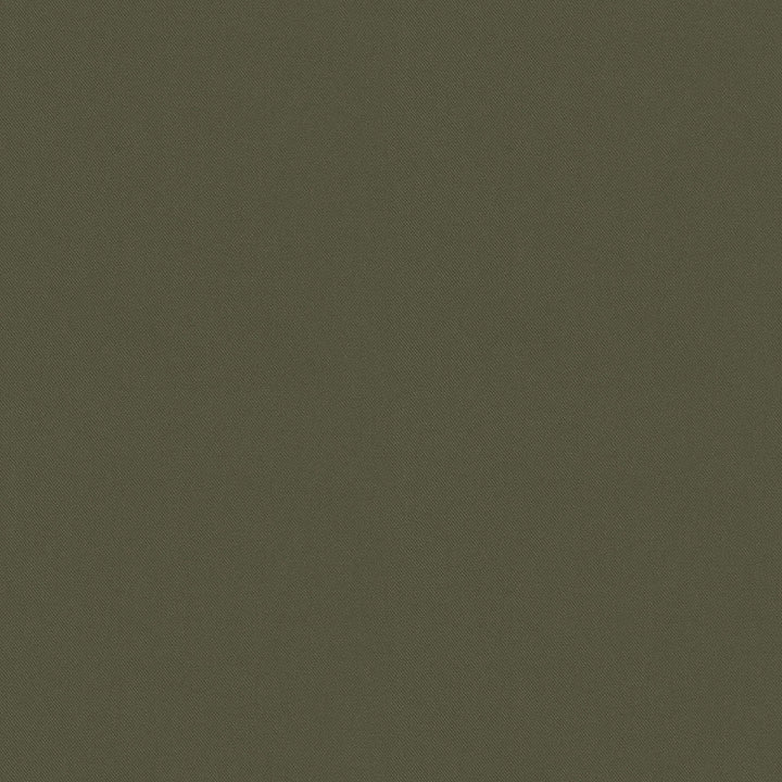 Raya Leaf 471409 by P/K LIFESTYLES Designer Fabric - 100% recycled polyester India 51000 Horizontal: 0 and Vertical: 0 56  - Swanky Fabrics -