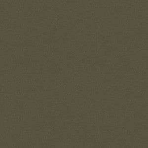 Raya Leaf 471409 By P/K Lifestyles Fabric