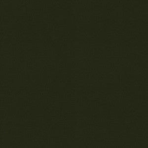 Raya Olive 471410 By P/K Lifestyles Fabric