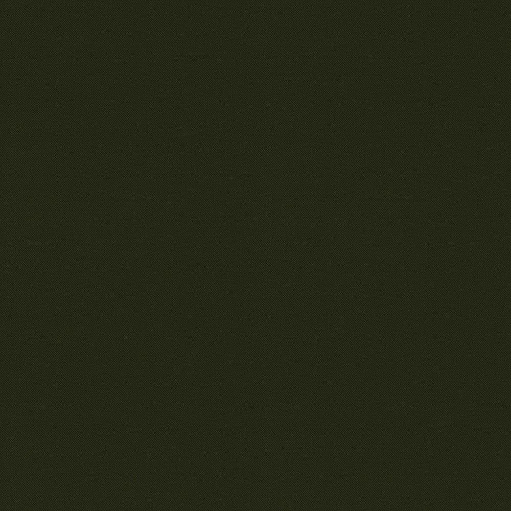 Raya Olive 471410 by P/K LIFESTYLES Fabric - 100% recycled polyester India 51000 Horizontal: 0 and Vertical: 0 56 - Fabric Carolina -