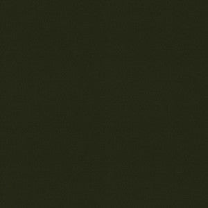 Raya Olive 471410 By P/K Lifestyles Fabric