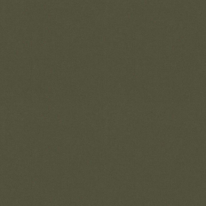 Raya Loden 471411 by P/K LIFESTYLES Fabric - 100% recycled polyester India 51000 Horizontal: 0 and Vertical: 0 56 - Fabric Carolina -